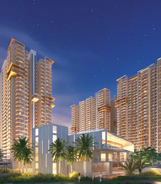 Ivory-County-gall-img